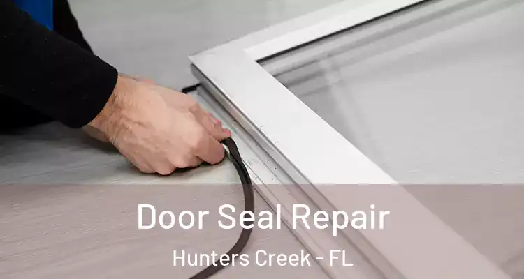 Door Seal Repair Hunters Creek - FL