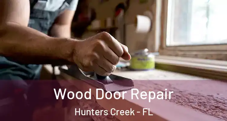 Wood Door Repair Hunters Creek - FL
